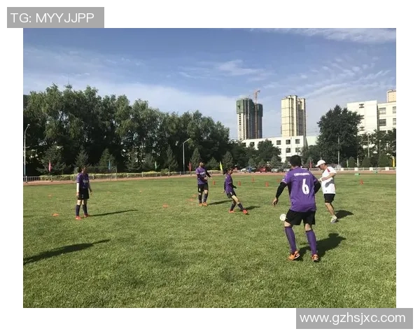 《球场之星:足球与梦想的完美碰撞》 《球场之星:足球与梦想的完美碰撞》